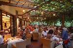 Hotel Apollonia  Beach Resort and Spa 5 stele, Insula Creta, Grecia