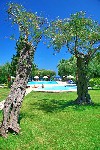 Hotel Delfinia 4 stele, Insula Corfu, Grecia