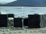 Hotel Elounda Ilion 4 stele, Insula Creta, Grecia