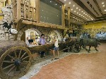 Hotel Naturland Country Park and Resort 5 stele, Kemer, Turcia