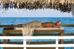Hotel Rixos Sungate 5 stele, Kemer, Turcia