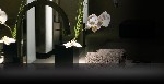 Hotel Armani Dubai 5 stele, Dubai, Emiratele Arabe Unite