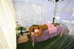 Hotel Baia Bodrum 5 stele, Bodrum, Turcia