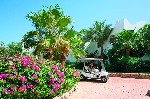 Hotel Domina Coral Bay Aquamarine Pool 5 stele, Sharm el Sheikh, Egipt