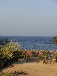 Hotel Utopia Beach Club 4 stele, Marsa Alam, Egipt