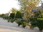 Hotel Utopia Beach Club 4 stele, Marsa Alam, Egipt